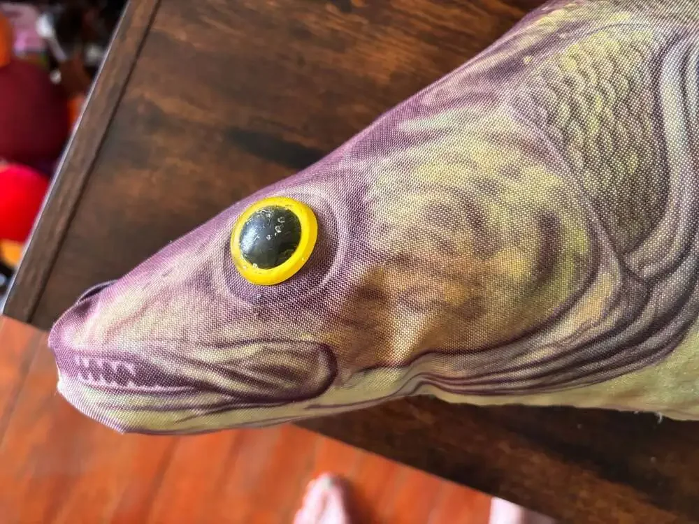 Unknown walleye fish